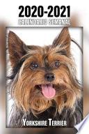 2020-2021 Calendario Semanal Yorkshire Terrier