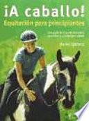 ¡A caballo! Equitación para principiantes
