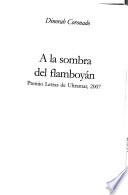 A la sombra del flamboyan