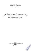 A pie por Castilla