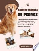 Adiestramiento de Perros