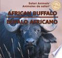 African Buffalo / Búfalo africano