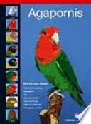 Agapornis