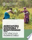 Agricultura sostenible y biodiversidad – Un vínculo indisociable