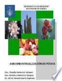 Agroindustrialización de pitaya