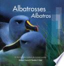 Albatros Del Océano Austral