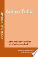 Amaxofobia