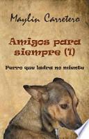 Amigos Para Siempre (1)