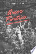 Amor Furtivo