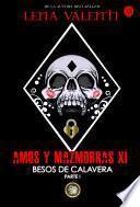 AMOS Y MAZMORRAS XI