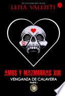 AMOS Y MAZMORRAS XIII