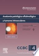 Anatomía patológica oftalmológica y tumores intraoculares : sección 4, 2011-2012
