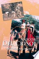 Añicos Del Crisol