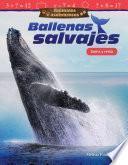 Animales asombrosos: Ballenas salvajes: Suma y resta (Amazing Animals: Wild Whales: Addition and Subtraction) 6-Pack