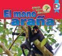 Animales de la Selva Amazónica — El mono araña