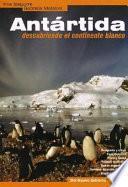 Antártida, descubriendo el continente blanco