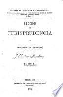 Anuario de legislación y jurisprudencia
