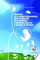 Aplicación de un modelo biopsicosocial para la reducción de la morbilidad y mortalidad materna y perinatal en Colombia