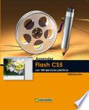 Aprender Flash CS5 con 100 ejercicios prácticos