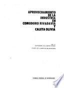 Aprovechamiento de la industria en Comodoro Rivadavia y Caleta Olivia