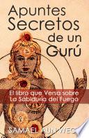 APUNTES SECRETOS DE UN GURU