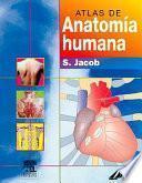 Atlas de Anatomía Humana