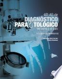 Atlas de diagnóstico parasitológico del perro y el gato. Volumen II: Ectoparásitos