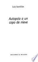 Autopsia a un copo de nieve
