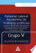 Ayudantes de Trabajos U Oficios . Grupo V. Temario Y Test.e-book.
