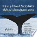 Ballenas y delfines de América Central