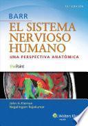 Barr el Sistema Nervioso Humano