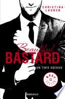 Beautiful Bastard: Un tipo odioso / Beautiful Bastard
