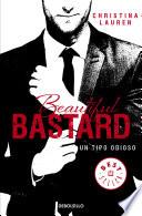 Beautiful Bastard. Un tipo odioso