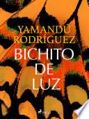 Bichito de luz