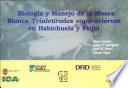 Biología y manejo de la mosca blanca Trialeurodes vaprariorum en habichuela y frijol