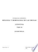 Biología y morfología de las orugas: Geometridae