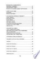 Boletín de arqueología