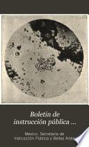 Boletin de instrucción pública ...