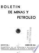 Boletín de minas y petróleo