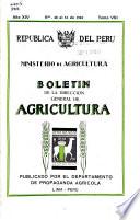 Boletín