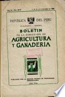 Boletin