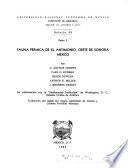 Boletín