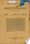 Boletín minero