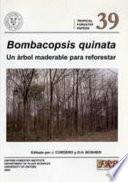Bombacopsis quinata