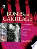 Bones and Cartilage