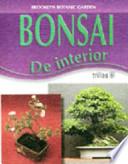 Bonsai de interior