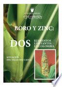 Boro y Zinc: Dos elementos limitantes en Colombia