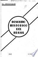 Bosquejo histórico del Brasil