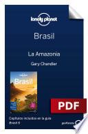 Brasil 6_15. Amazonia