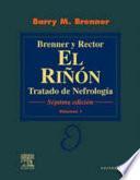 Brenner Y Rector: El Rinon